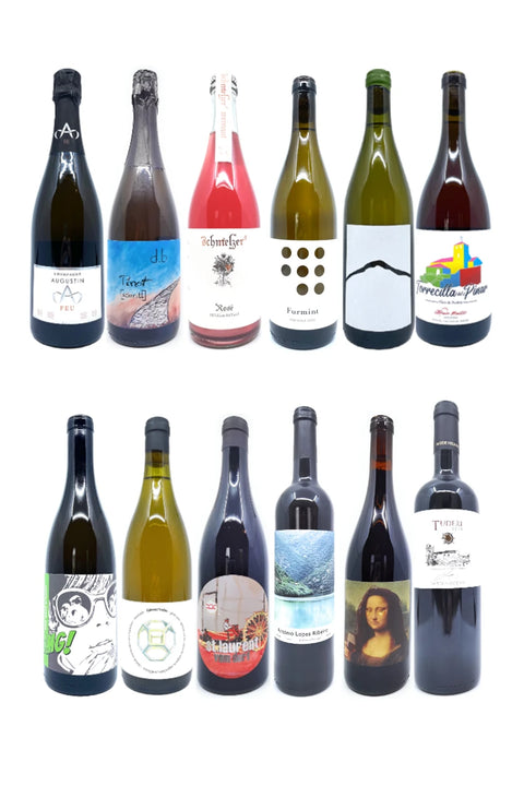 Celebrate in Style 2021 - Set Package 12 Natural Wines - Natural Wine Dealers