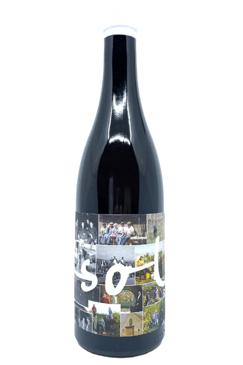 Michael Gindl Sol 2019 bottle - Natural Wine Dealers
