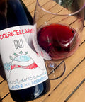 Poderi Cellario Galli 2022 bottle and glass - Natural Wine Dealers