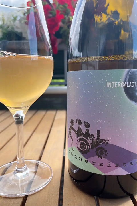 Rennersistas Intergalactic 2023 bottle and glass - Natural Wine Dealers