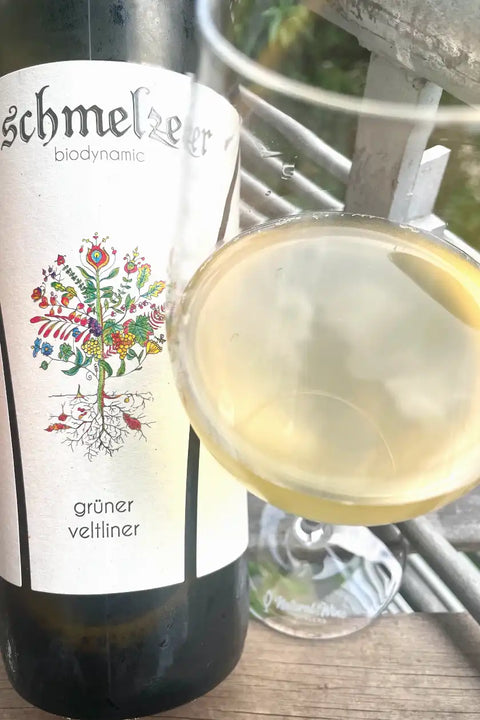 Schmelzer grüner Veltliner 2023 bottle and glass - Natural Wine Dealers