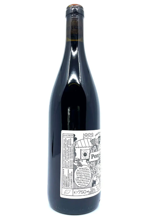 Weninger Ponzichter 2023 side label - Natural Wine Dealers