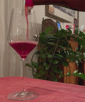 Judith Beck Pinot Noir Bambule 2022 pouring video - Natural Wine Dealers