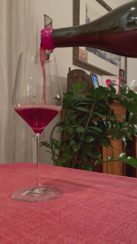 Judith Beck Pinot Noir Bambule 2022 pouring video - Natural Wine Dealers